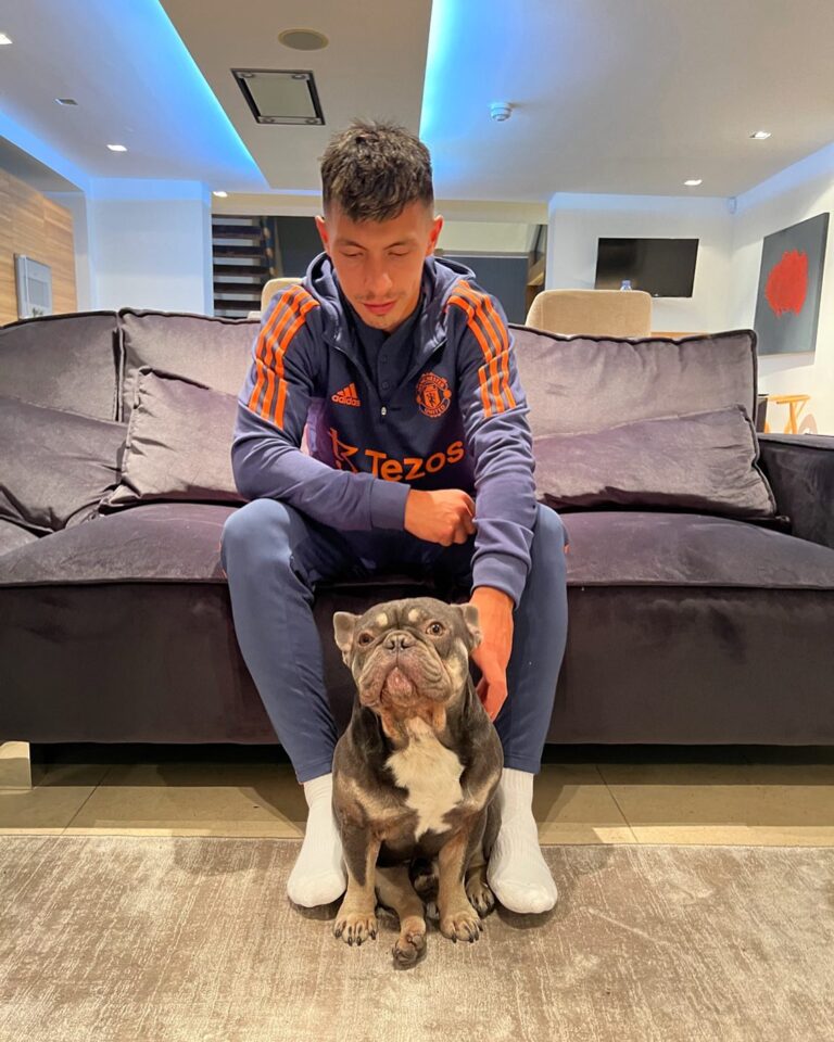 Inside the LAVISH life of Lisandro Martinez’s bulldog – The little friend help Man Utd star relaxs after the stress matches and has an account for with more than 20k followers ‎